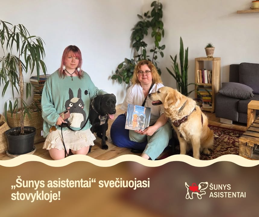 Šunys asistentai
