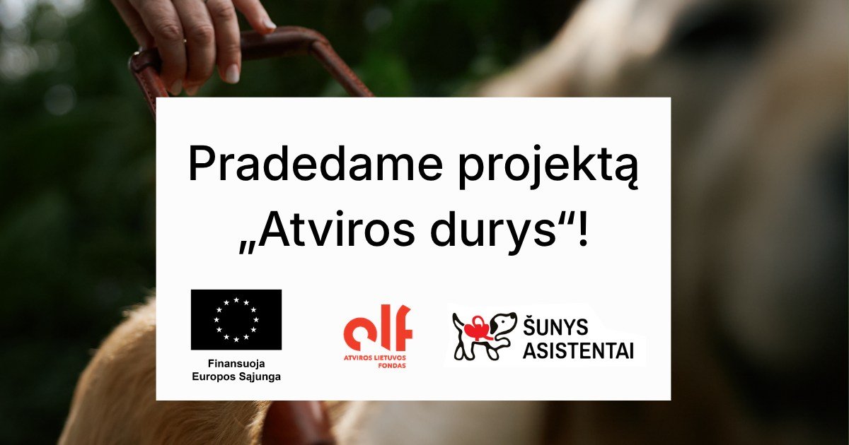Šunys asistentai